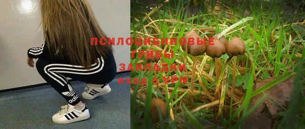 спайс Беломорск