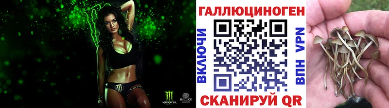 Галлюциногенные грибы Cubensis  Борисоглебск 