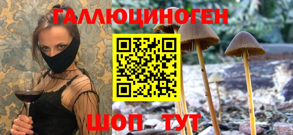Псилоцибиновые грибы Psilocybe  Вход с VPN  Борисоглебск  Галлюциногенные грибы прущие грибы 